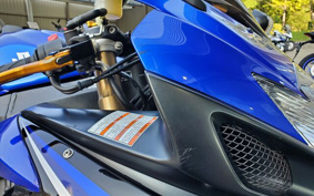 SUZUKI GSX-R600 2007 GN7DA