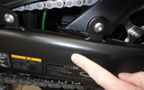 KAWASAKI NINJA 1000 SX 2021