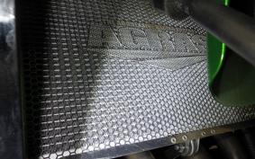 KAWASAKI NINJA 1000 SX 2024 ZXT02K