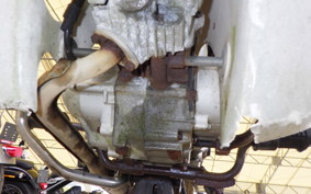 HONDA C50 SUPER CUB C50