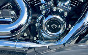 HARLEY FLTRU 2019 KGF