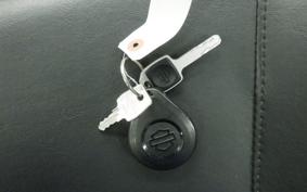 HARLEY FXLRST1920 2022