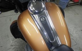 OTHER +HD. FLHX1580 2008