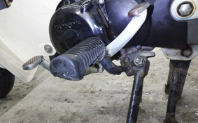 HONDA LITTLE CUB 2019 AA01