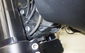 TRIUMPH SPEED TRIPLE RS 2020