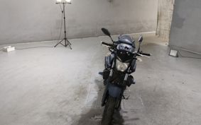 YAMAHA MT-25 RG10J