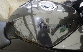 KAWASAKI NINJA 250R EX250K