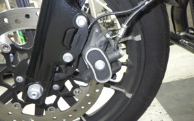 HARLEY XL1200NS 2019