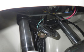 OTHER +UNREGISTERED MODEL by BDS125 TRIKE