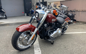 HARLEY  HARLEY FLFBS 2025 YGK