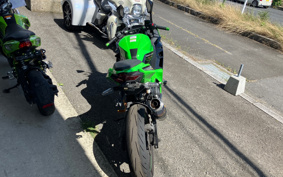 KAWASAKI NINJA 250 EX250P