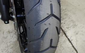 OTHER +HD. FLTRXSTSE1980CVO 2025