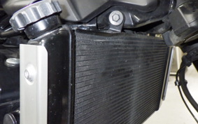 KAWASAKI Z900RS 2018