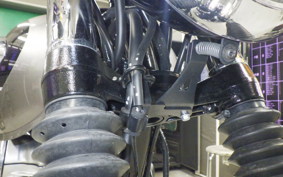 KAWASAKI W800 2025