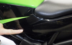 KAWASAKI NINJA 250 SL BX250A