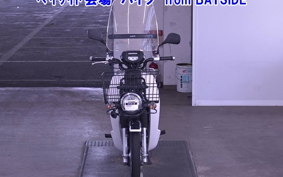 OTHER C110PU LOW 2