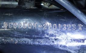 HONDA CB250 N 2024 CB250N