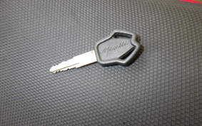 OTHER +ﾒｶﾞﾘ250R