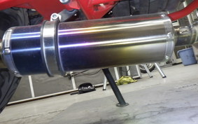 HONDA FTR223 2006 MC34