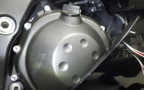 KAWASAKI ZX 1400 NINJA R A 2015