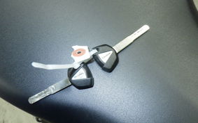 KAWASAKI ZX-4RR 2023 ZX400P