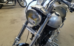 HARLEY FXDL 100th 2002 GDV