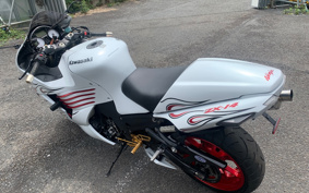 KAWASAKI NINJA ZX-14 SE 2006 ZXNA11