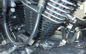 OTHER THUNDER 250 2025