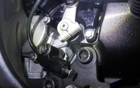 SUZUKI HAYABUSA Gen.2 2015