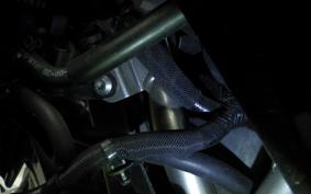 KAWASAKI ZX-25R 2023