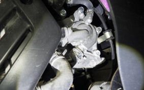 HONDA TACT Basket 2024 AF79