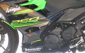 KAWASAKI NINJA 250 EX250P