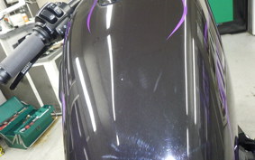 HARLEY XL1200V 2013