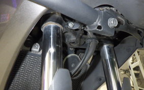 KAWASAKI VERSYS-X 250 A 2008 LE250D