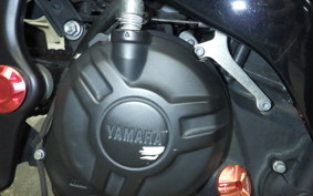 YAMAHA YZF-R25 2022 RG10J
