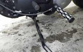 HARLEY XL883N 2010