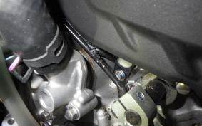 KAWASAKI ZX-4RR 2024 ZX400P