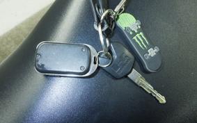 KAWASAKI NINJA 250 EX250L