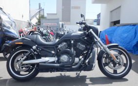 HARLEY VRSCD 2008 HLH