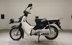 HONDA C50 SUPER CUB 2008 AA04