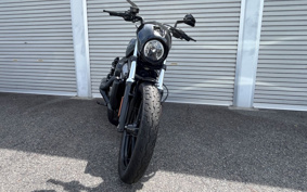 HARLEY RH975 NIGHT STAR 2022 ZH1