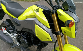 HONDA GROM JC61