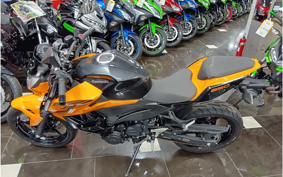 KAWASAKI Z250 EX250P
