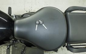 OTHER +ENFIELD ﾒﾃｵ350 2025