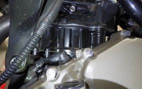 HUSQVARNA SVARTPILEN 250 2025