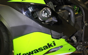 KAWASAKI ZX-4RR 2023 ZX400P