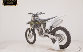 TRIUMPH TF250-X