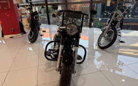 HARLEY FLSTFB 2010 JN5