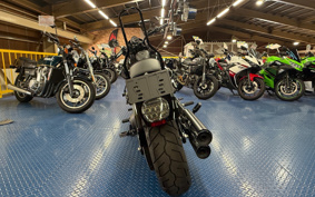 HARLEY FXLRS 2023 YWZ