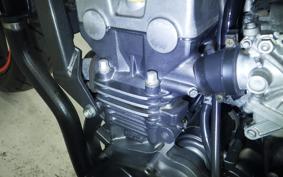 HONDA HORNET 250 MC31